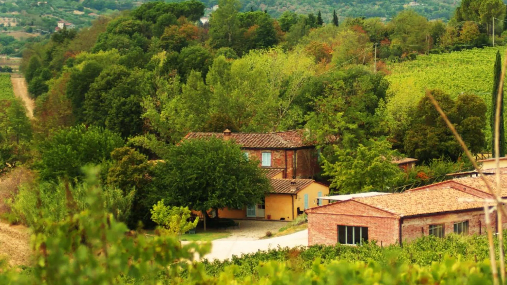 Alloggio per agriturismo Villa Fattoria Santa Vittoria Pozzo  Italia